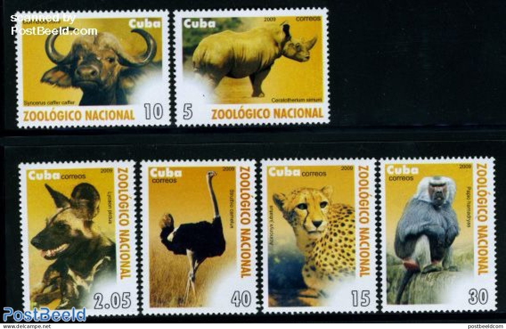 Cuba 2009 Zoology, Mammals 6v, Mint NH, Nature - Animals (others & Mixed) - Birds - Cat Family - Monkeys - Rhinoceros - Neufs