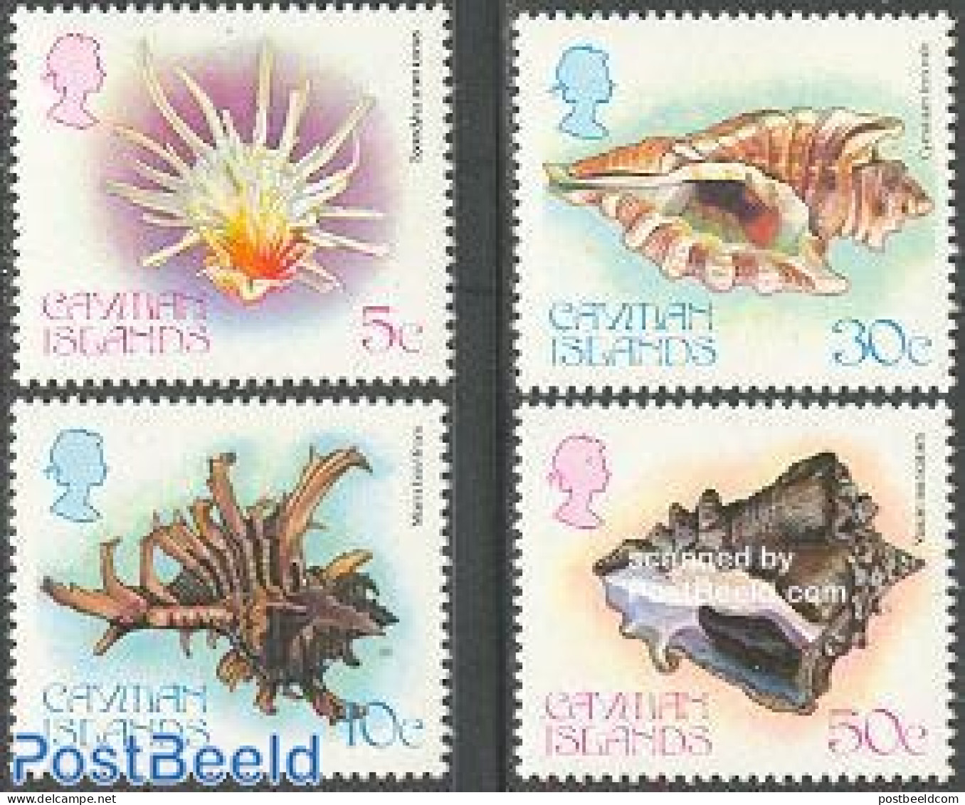 Cayman Islands 1980 Shells 4v, Mint NH, Nature - Shells & Crustaceans - Vie Marine