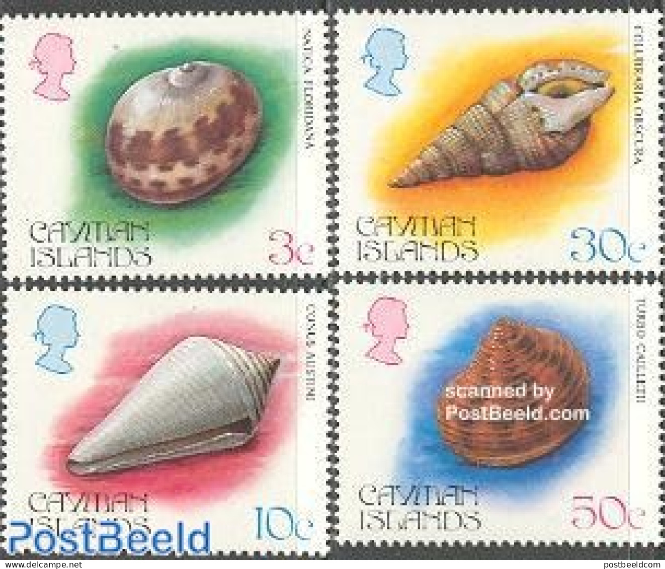 Cayman Islands 1984 Shells 4v, Mint NH, Nature - Shells & Crustaceans - Vita Acquatica