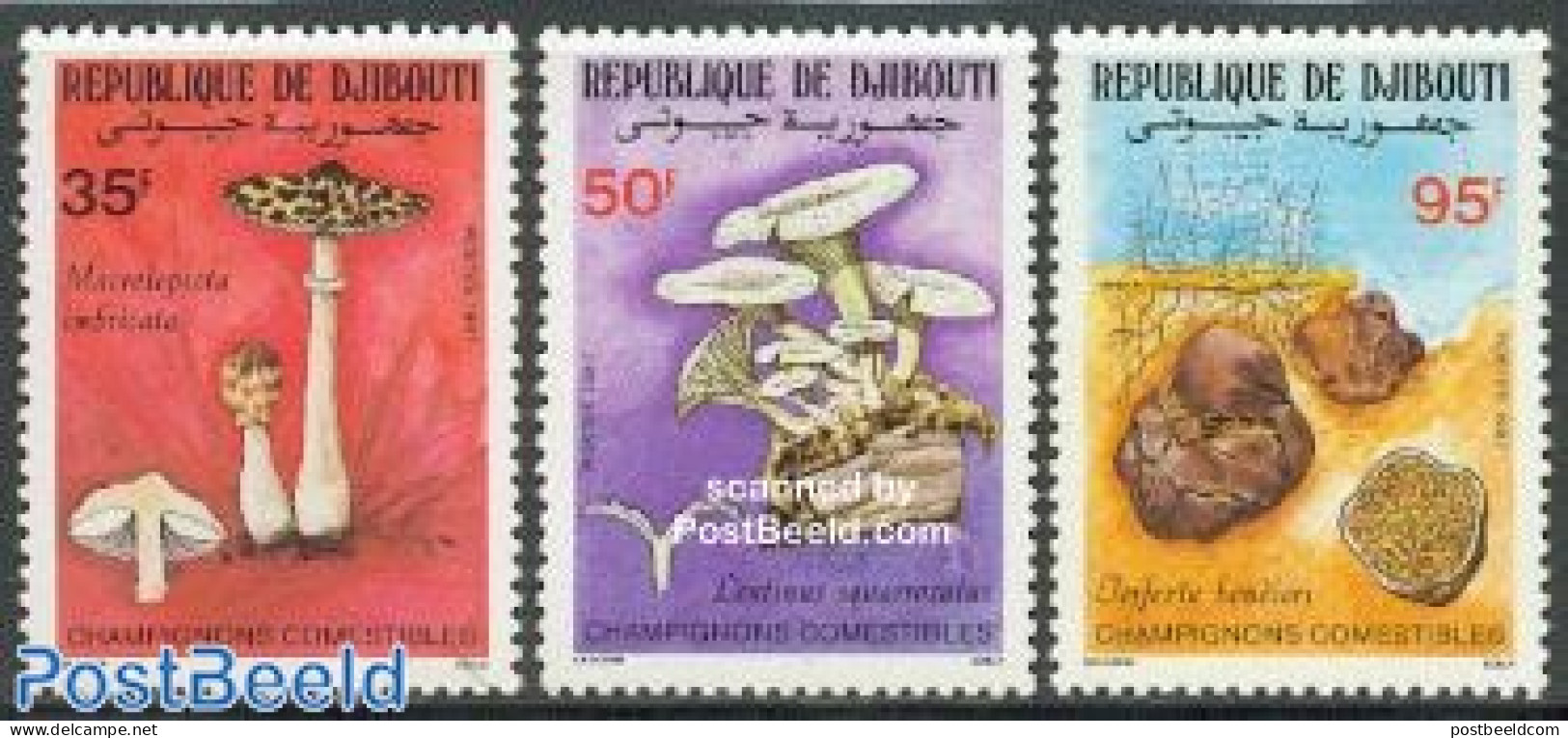 Djibouti 1987 Mushrooms 3v, Mint NH, Nature - Mushrooms - Paddestoelen