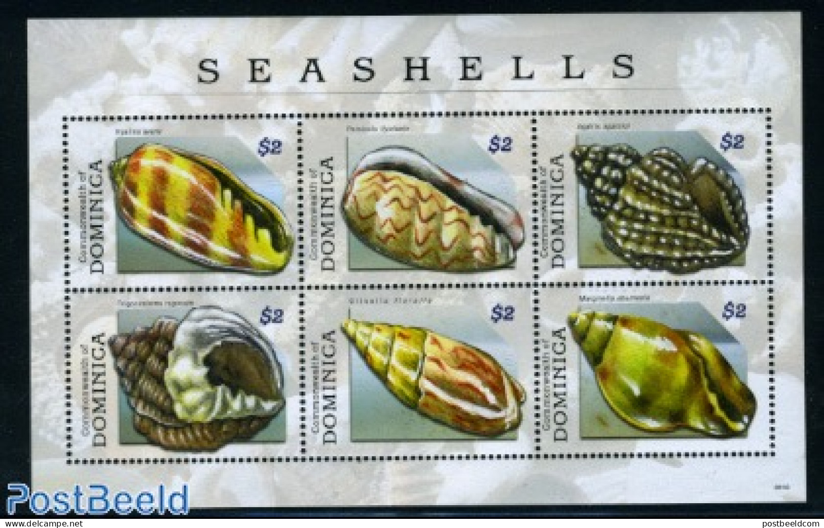 Dominica 2009 Seashells 6v M/s, Mint NH, Nature - Shells & Crustaceans - Mundo Aquatico