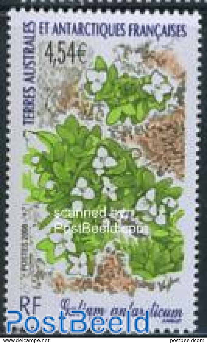 French Antarctic Territory 2008 Flora 1v, Mint NH, Nature - Flowers & Plants - Unused Stamps