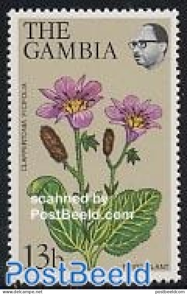 Gambia 1979 Definitive, Flower 1v, Mint NH, Nature - Flowers & Plants - Gambie (...-1964)