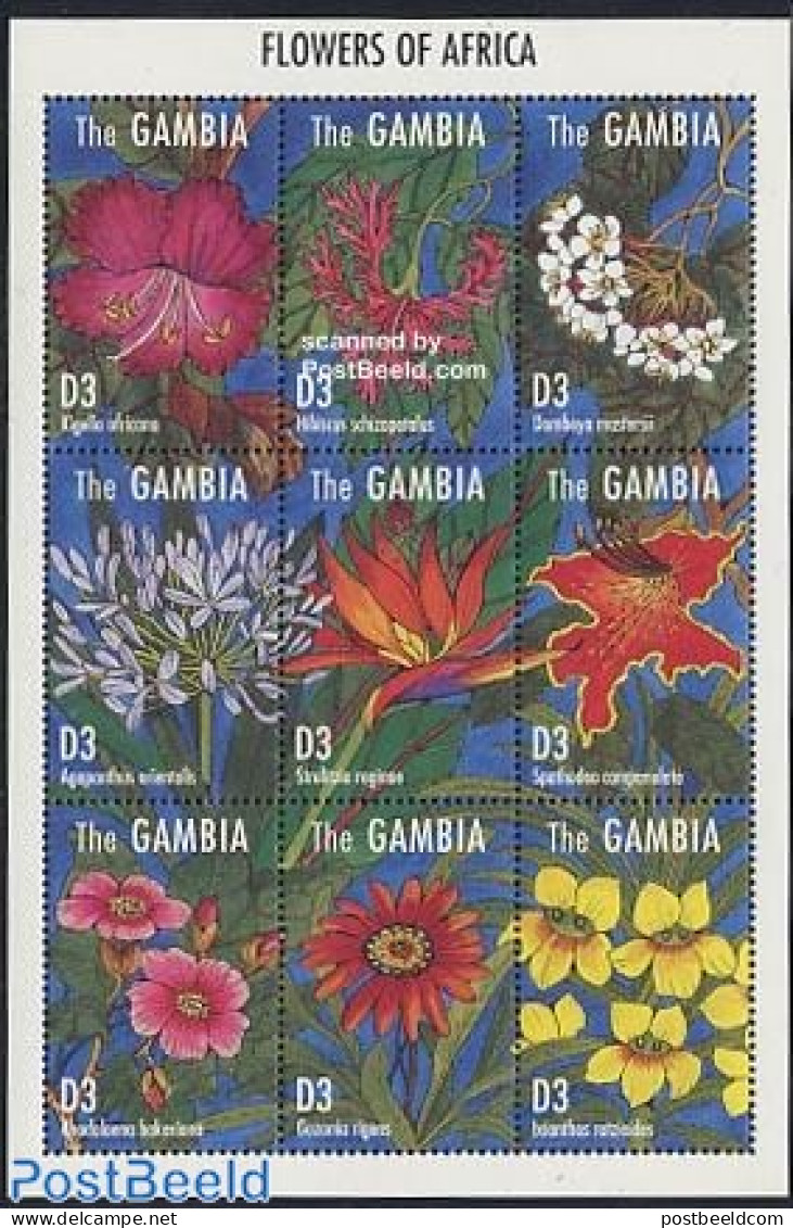 Gambia 1995 Flowers 9v M/s, Kigelia, Mint NH, Nature - Flowers & Plants - Gambie (...-1964)