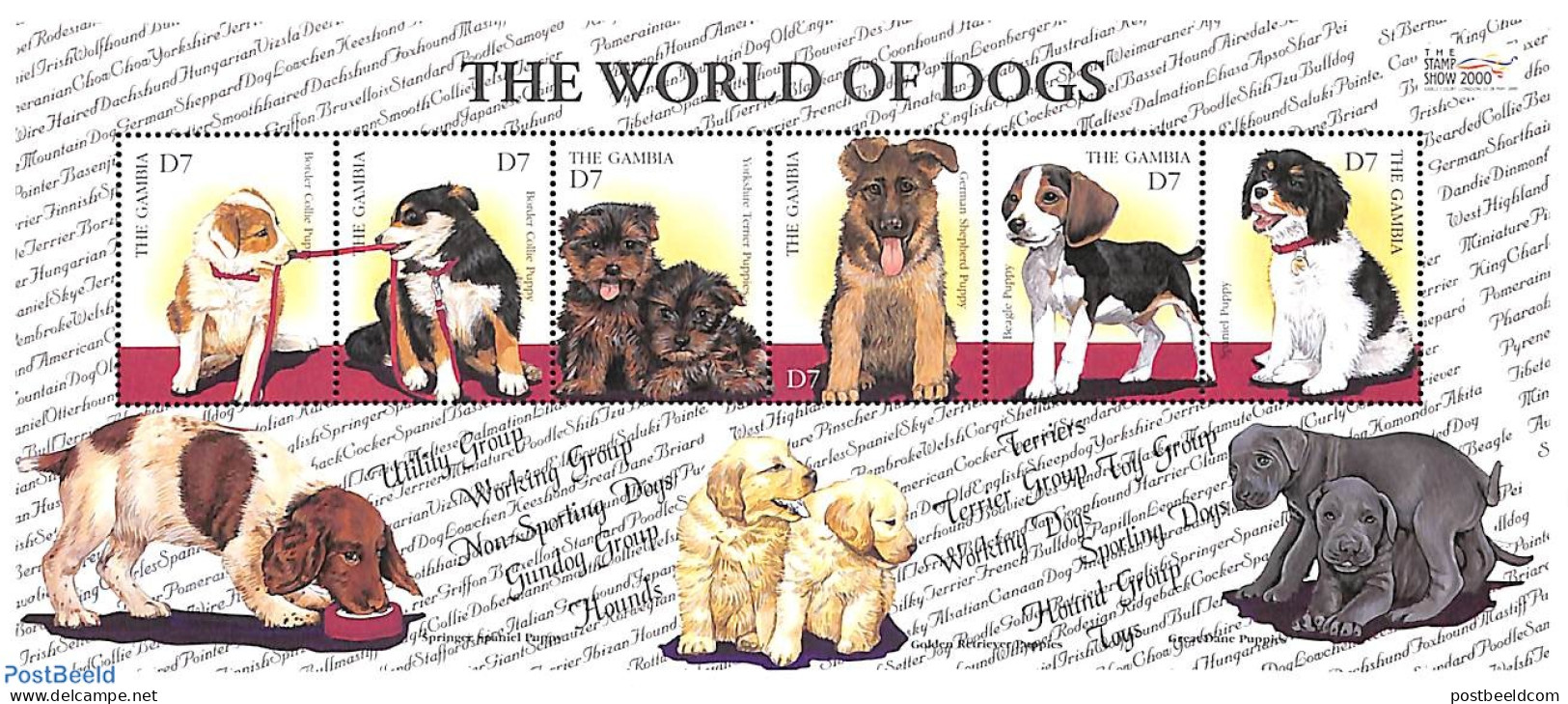 Gambia 2000 Dogs 6v M/s, Mint NH, Nature - Dogs - Gambia (...-1964)