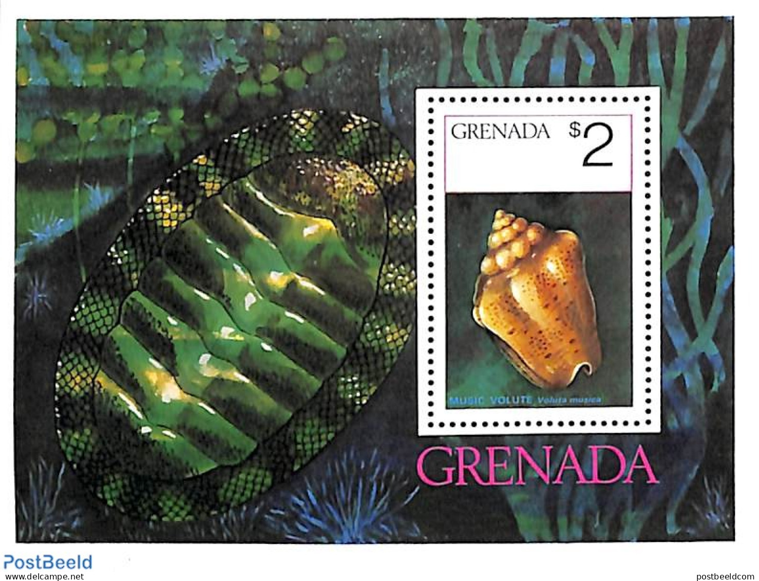 Grenada 1975 Shells S/s, Mint NH, Nature - Shells & Crustaceans - Vie Marine