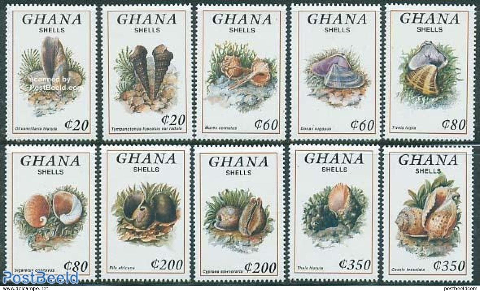 Ghana 1992 Shells 10v, Mint NH, Nature - Shells & Crustaceans - Maritiem Leven