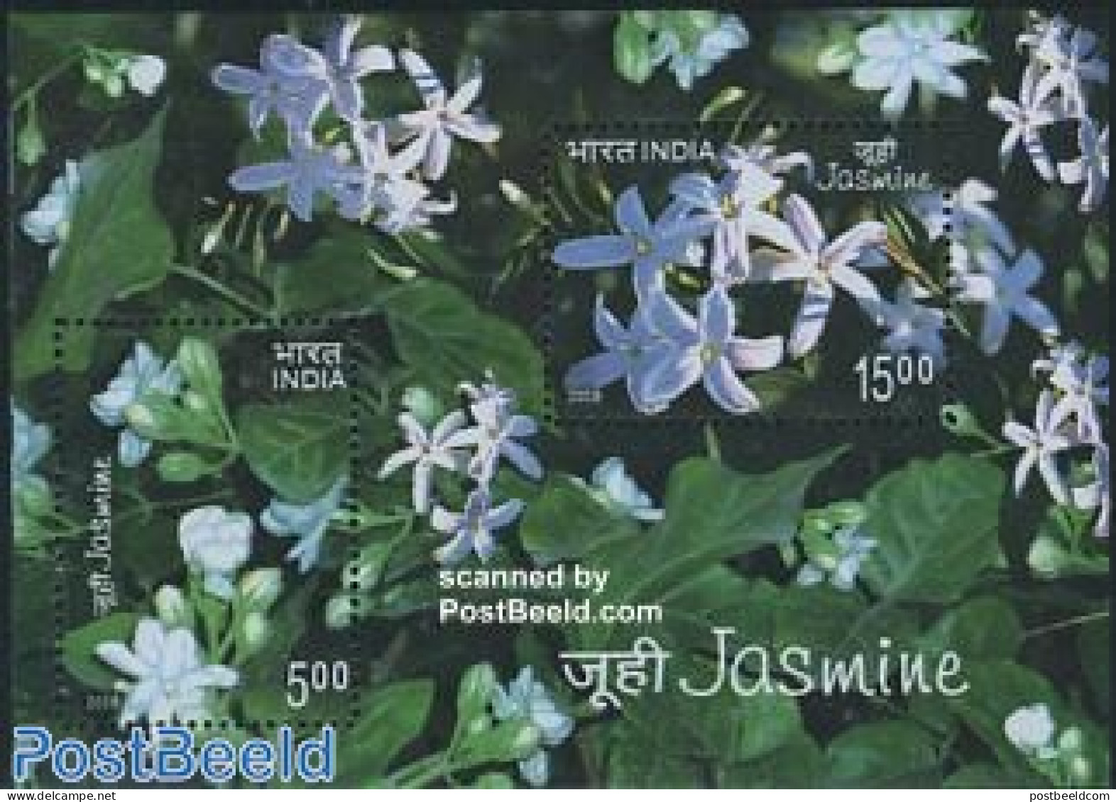 India 2008 Jasmine S/s, Scented, Mint NH, Nature - Various - Flowers & Plants - Scented Stamps - Ongebruikt