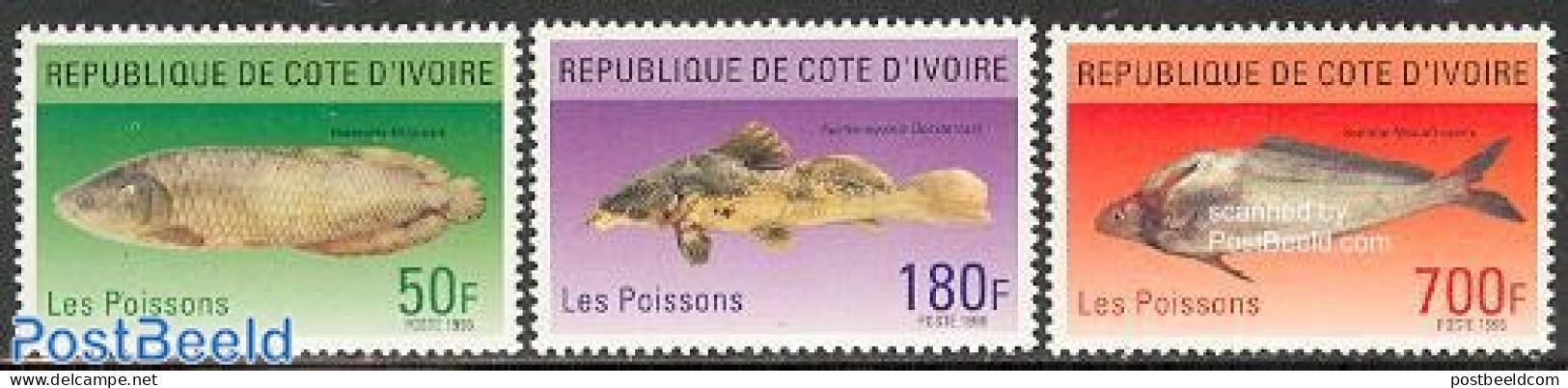 Ivory Coast 1996 Fish 3v, Mint NH, Nature - Fish - Neufs