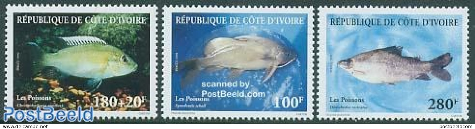 Ivory Coast 1999 Fish 3v, Mint NH, Nature - Fish - Neufs