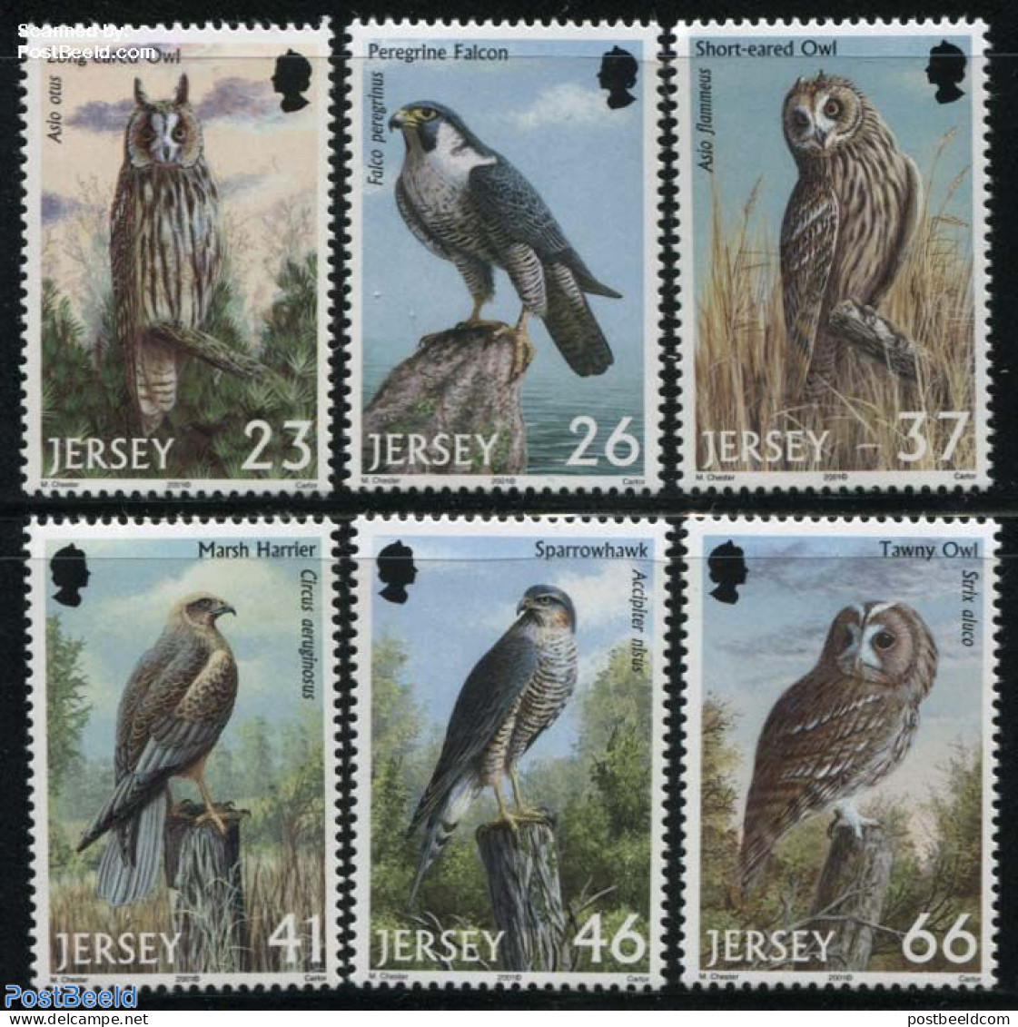 Jersey 2001 Birds Of Prey 6v, Mint NH, Nature - Birds - Birds Of Prey - Owls - Jersey