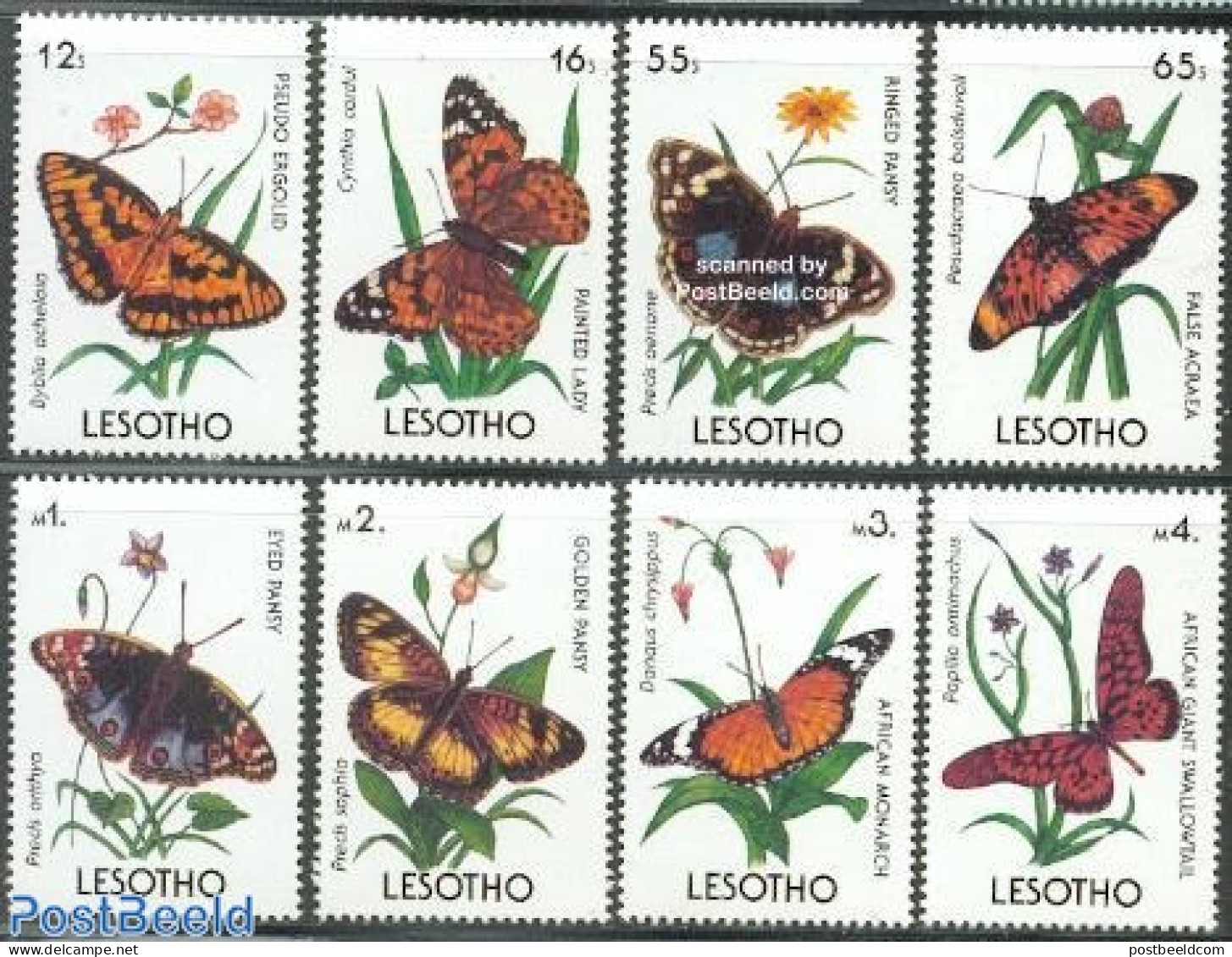 Lesotho 1990 Butterflies 8v, Mint NH, Nature - Butterflies - Lesotho (1966-...)