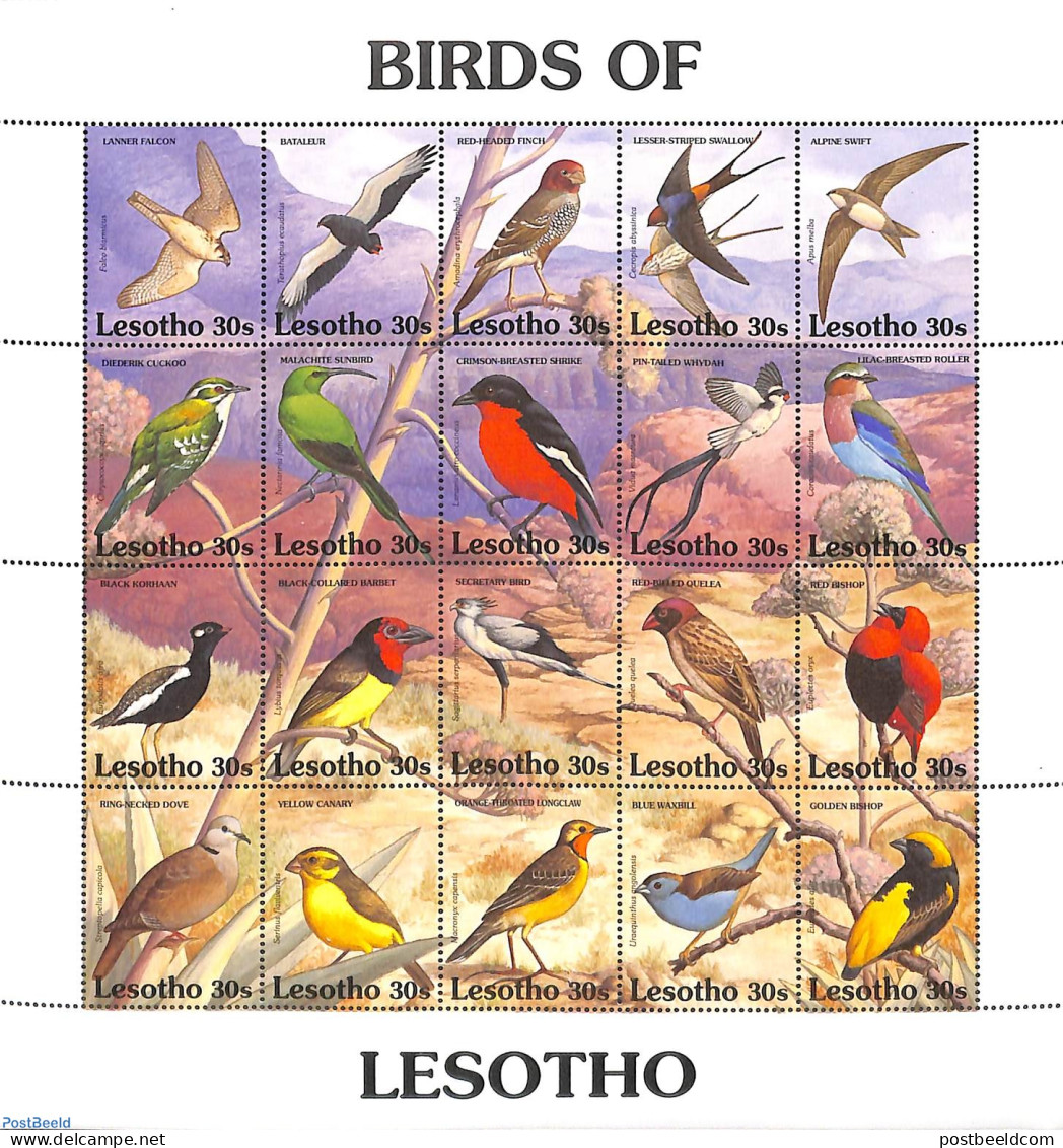 Lesotho 1992 Birds 20v M/s, Mint NH, Nature - Birds - Birds Of Prey - Pigeons - Lesotho (1966-...)