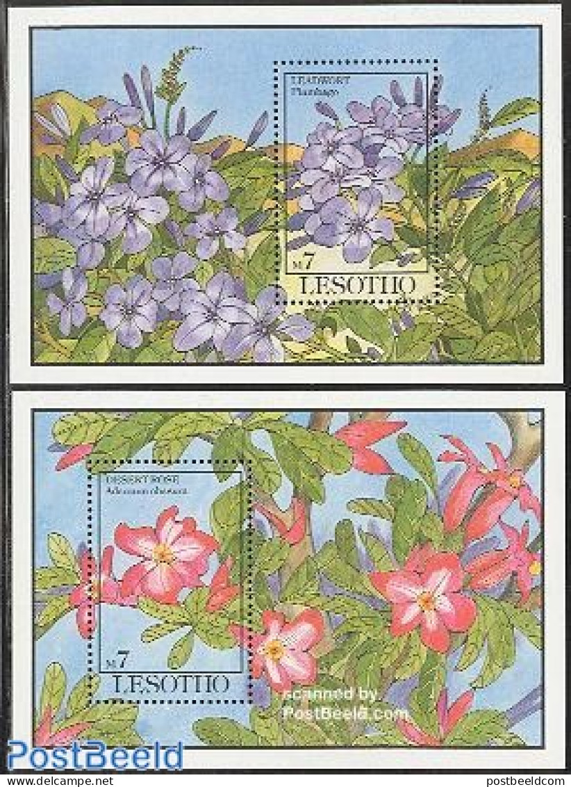 Lesotho 1993 Flowers 2 S/s, Mint NH, Nature - Flowers & Plants - Lesotho (1966-...)