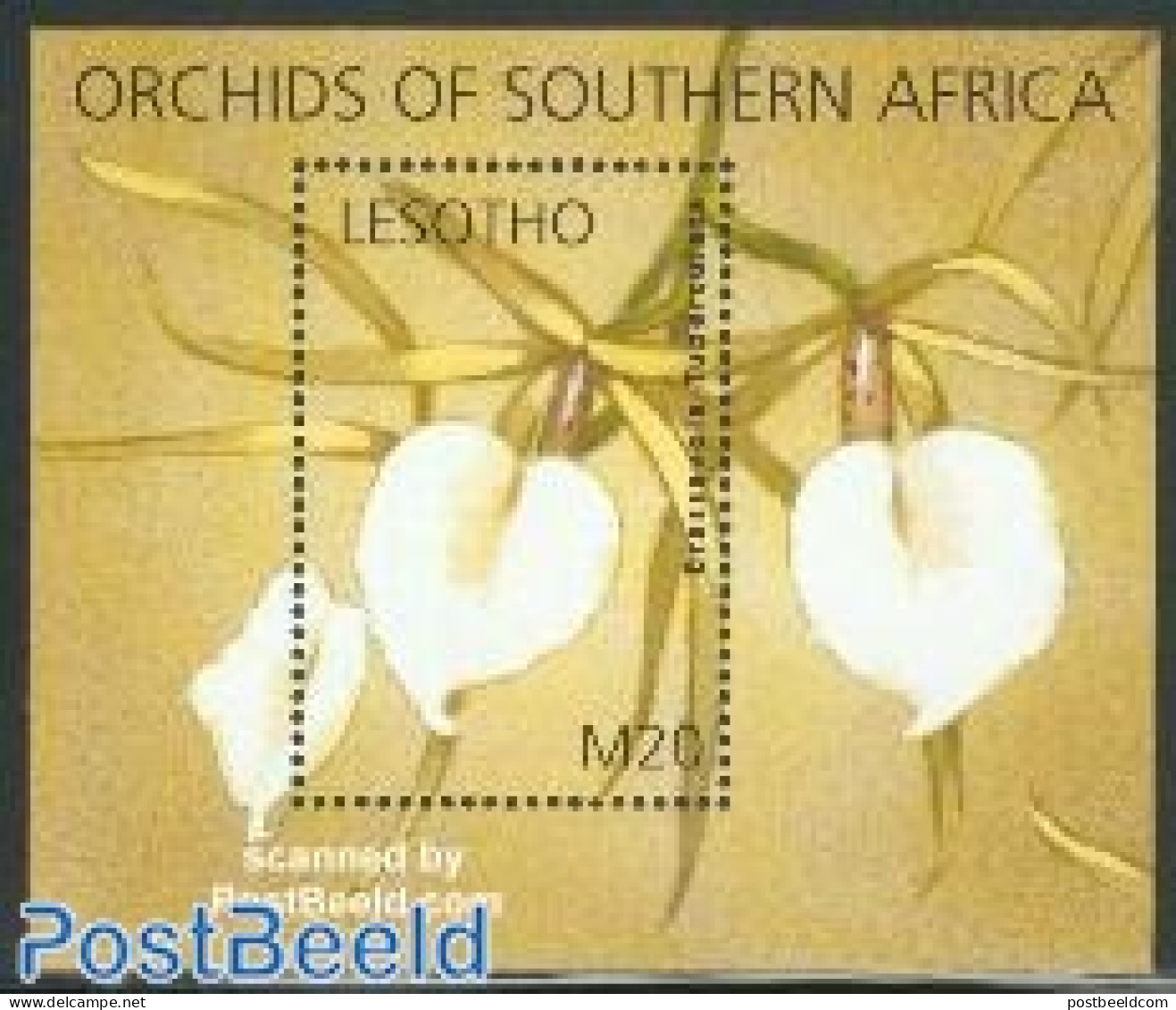 Lesotho 2002 Orchids S/s, Mint NH, Nature - Flowers & Plants - Orchids - Lesotho (1966-...)