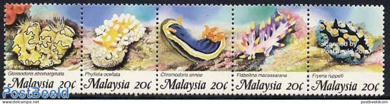 Malaysia 1988 Sea Slugs 5v [::::], Mint NH, Nature - Shells & Crustaceans - Maritiem Leven