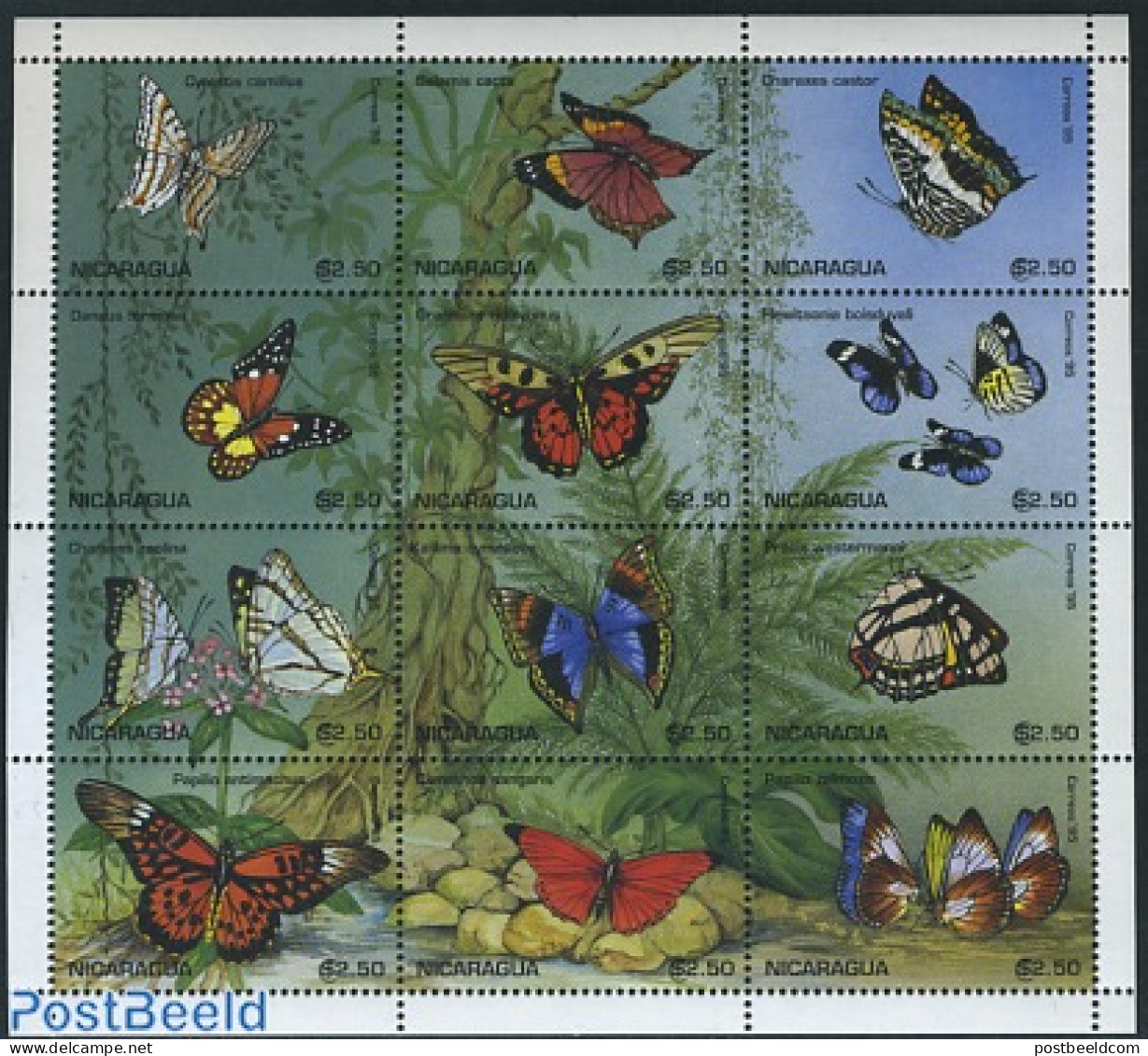 Nicaragua 1995 Butterflies 12v M/s, Mint NH, Nature - Butterflies - Nicaragua