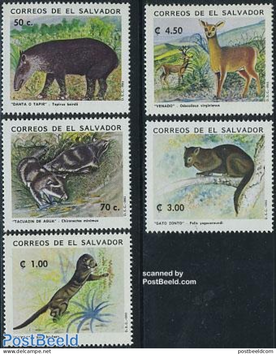 El Salvador 1993 Wild Animals 5v, Mint NH, Nature - Animals (others & Mixed) - Salvador