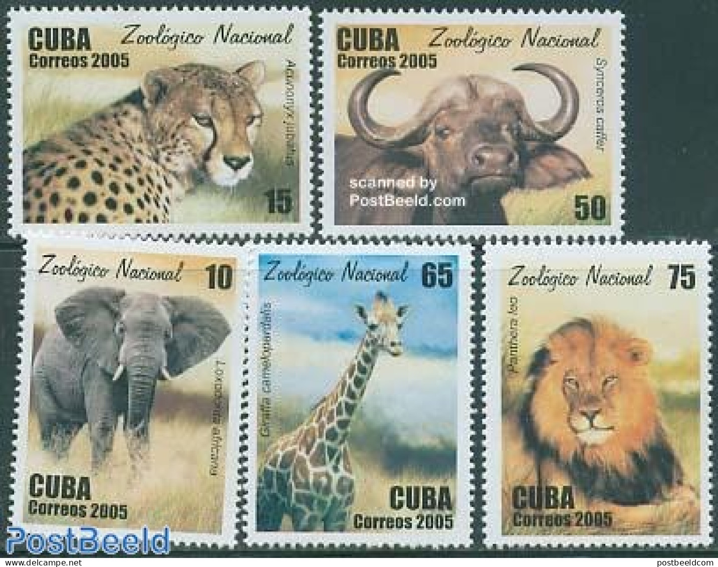 Cuba 2005 National Zoo 5v, Mint NH, Nature - Animals (others & Mixed) - Cat Family - Elephants - Giraffe - Ongebruikt