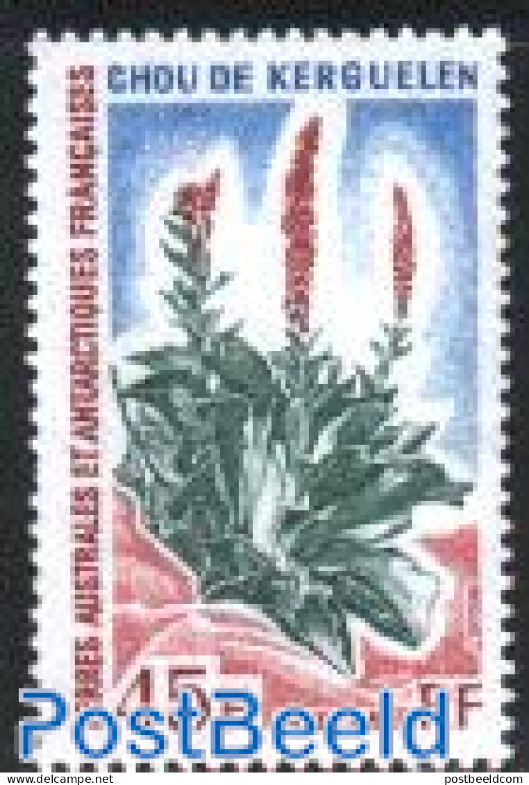 French Antarctic Territory 1972 Antarctic Plants 1v, Mint NH, Nature - Flowers & Plants - Nuevos