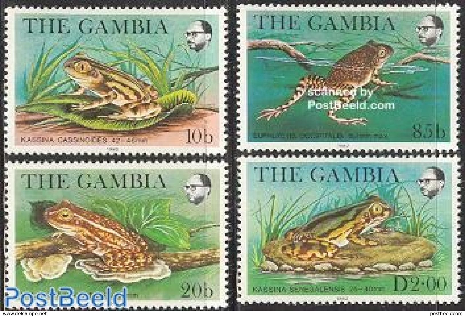 Gambia 1982 Frogs 4v, Mint NH, Nature - Animals (others & Mixed) - Frogs & Toads - Reptiles - Gambia (...-1964)