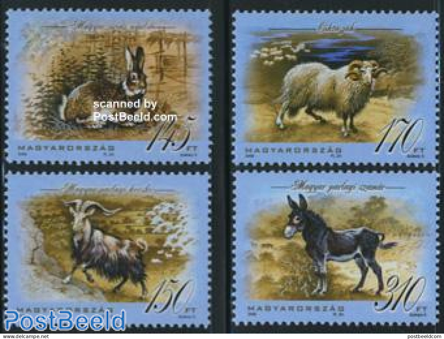 Hungary 2008 Animals 4v, Mint NH, Nature - Animals (others & Mixed) - Cattle - Rabbits / Hares - Nuevos