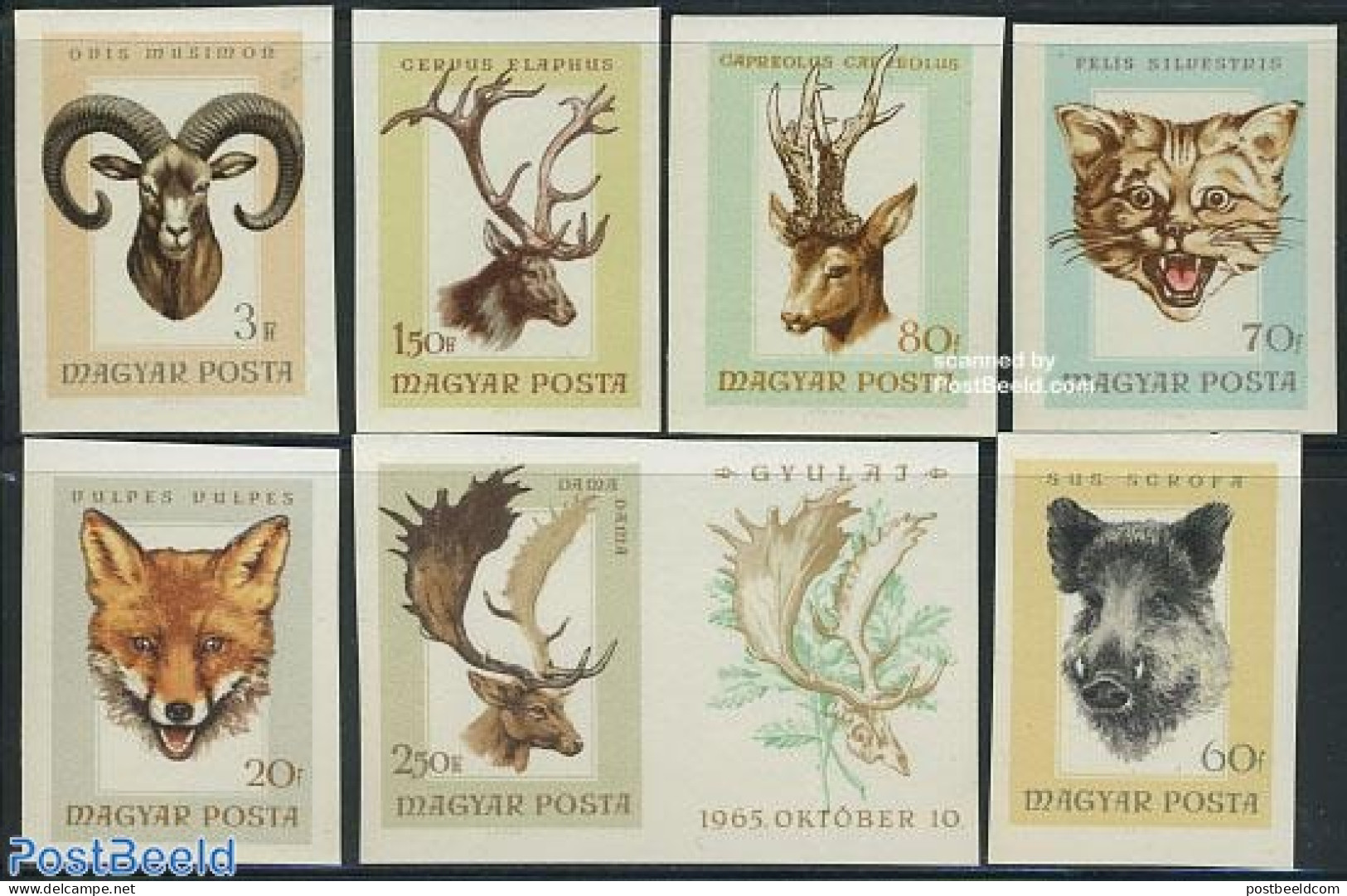 Hungary 1966 Hunted Animals 7v Imperforated, Mint NH, Nature - Animals (others & Mixed) - Cat Family - Deer - Hunting - Ongebruikt