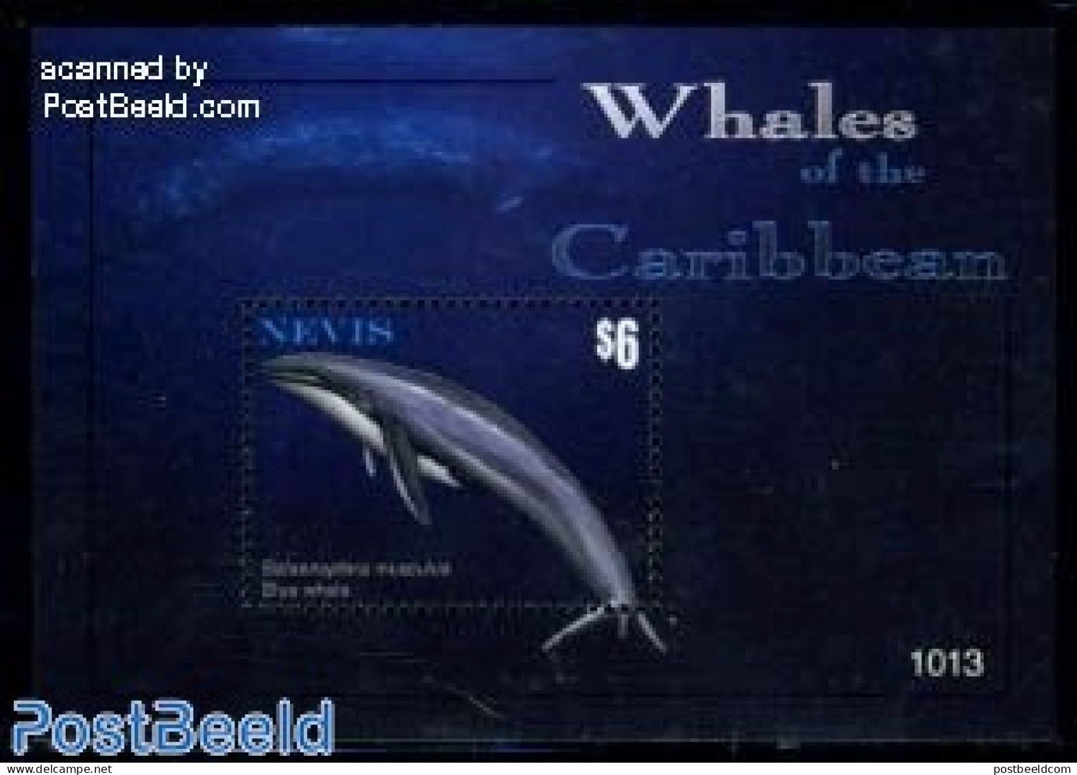 Nevis 2010 Whales S/s, Mint NH, Nature - Sea Mammals - St.Kitts-et-Nevis ( 1983-...)