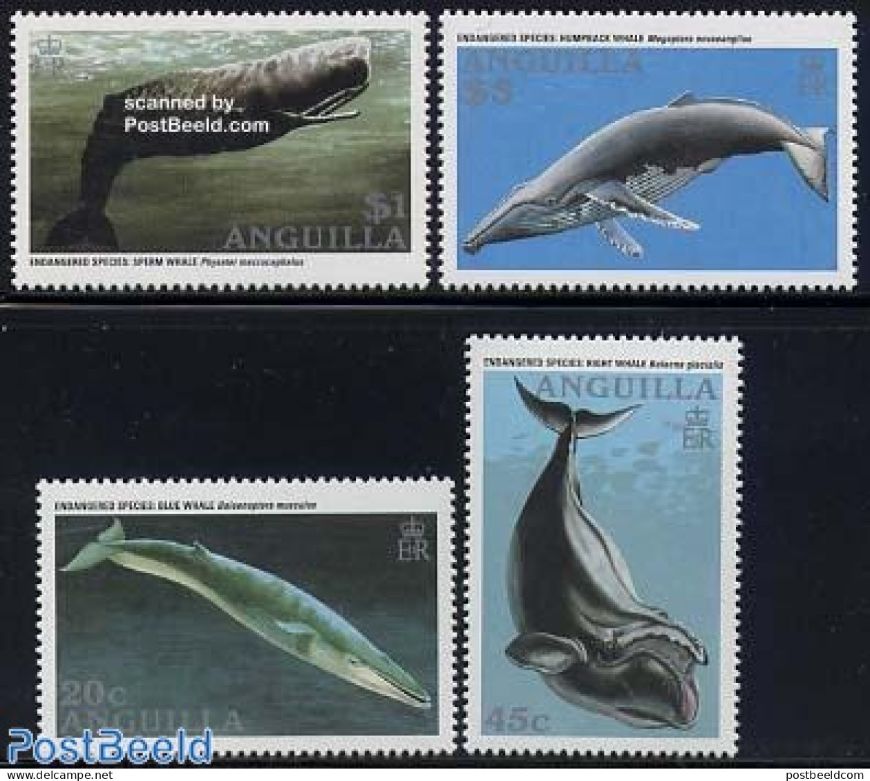 Anguilla 1995 Whales 4v, Mint NH, Nature - Sea Mammals - Anguilla (1968-...)