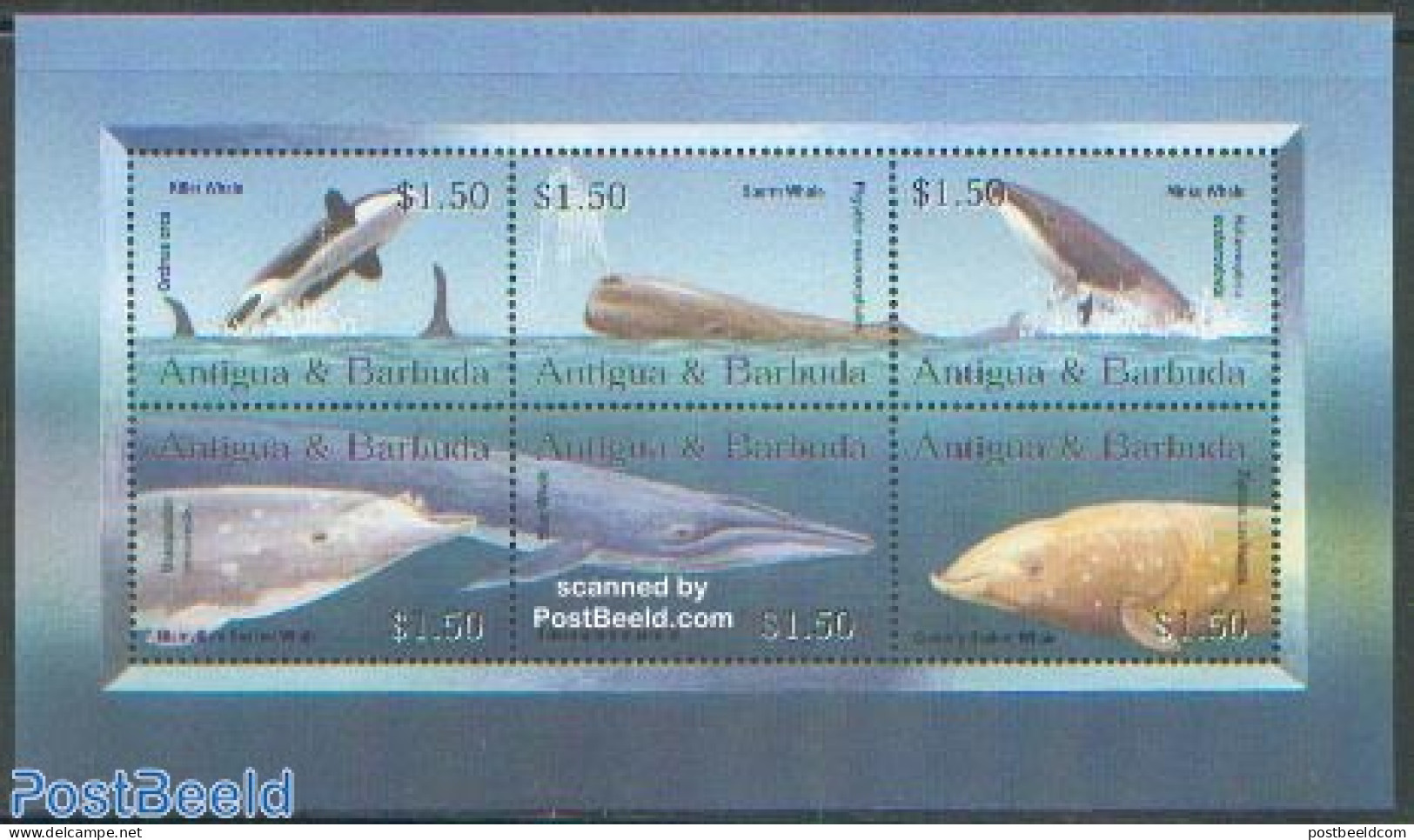 Antigua & Barbuda 2002 Whales 6v M/s /Killer Whale/, Mint NH, Nature - Sea Mammals - Antigua Y Barbuda (1981-...)