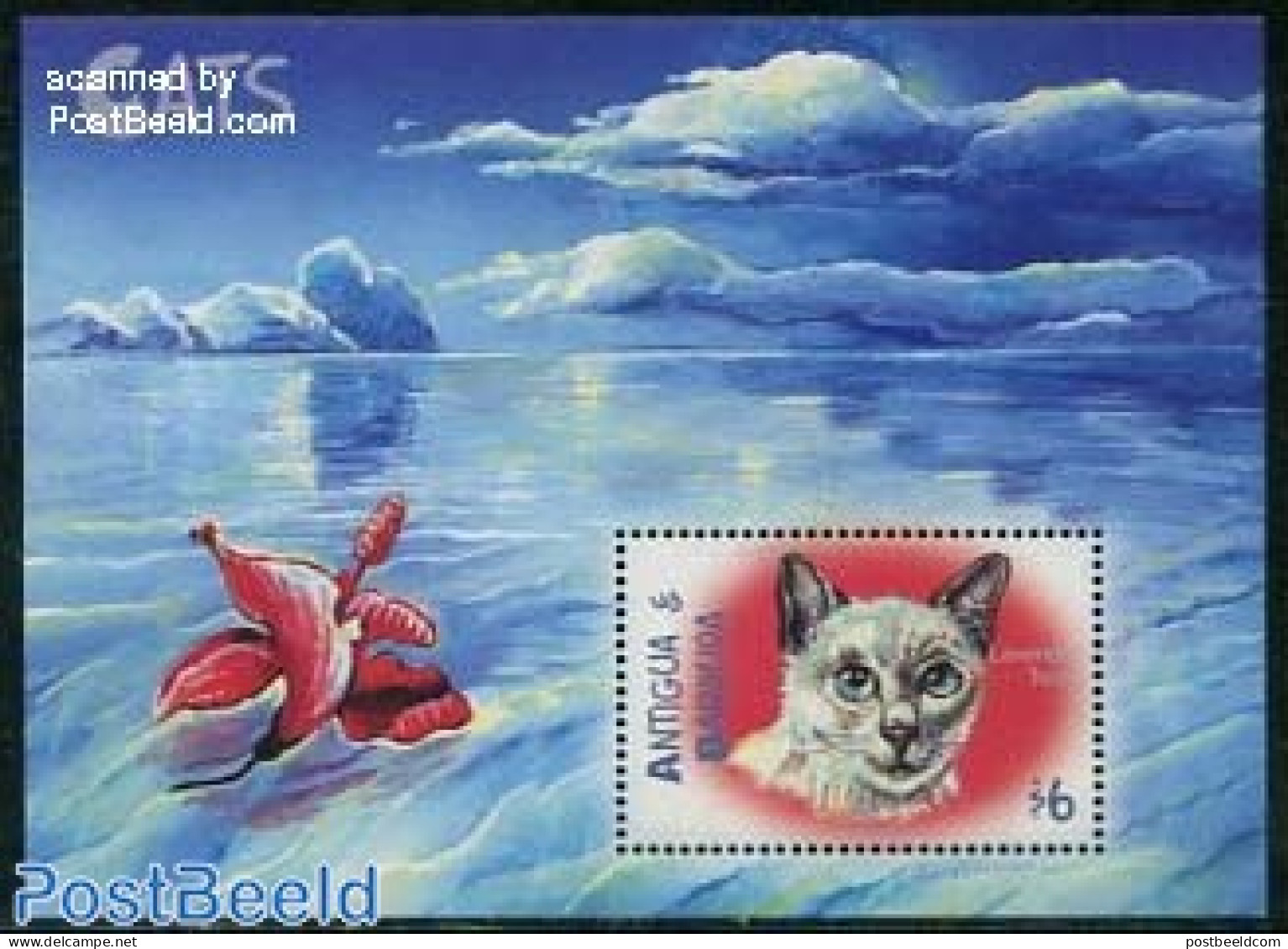 Antigua & Barbuda 2000 Cats S/s, Mint NH, Nature - Cats - Antigua Und Barbuda (1981-...)