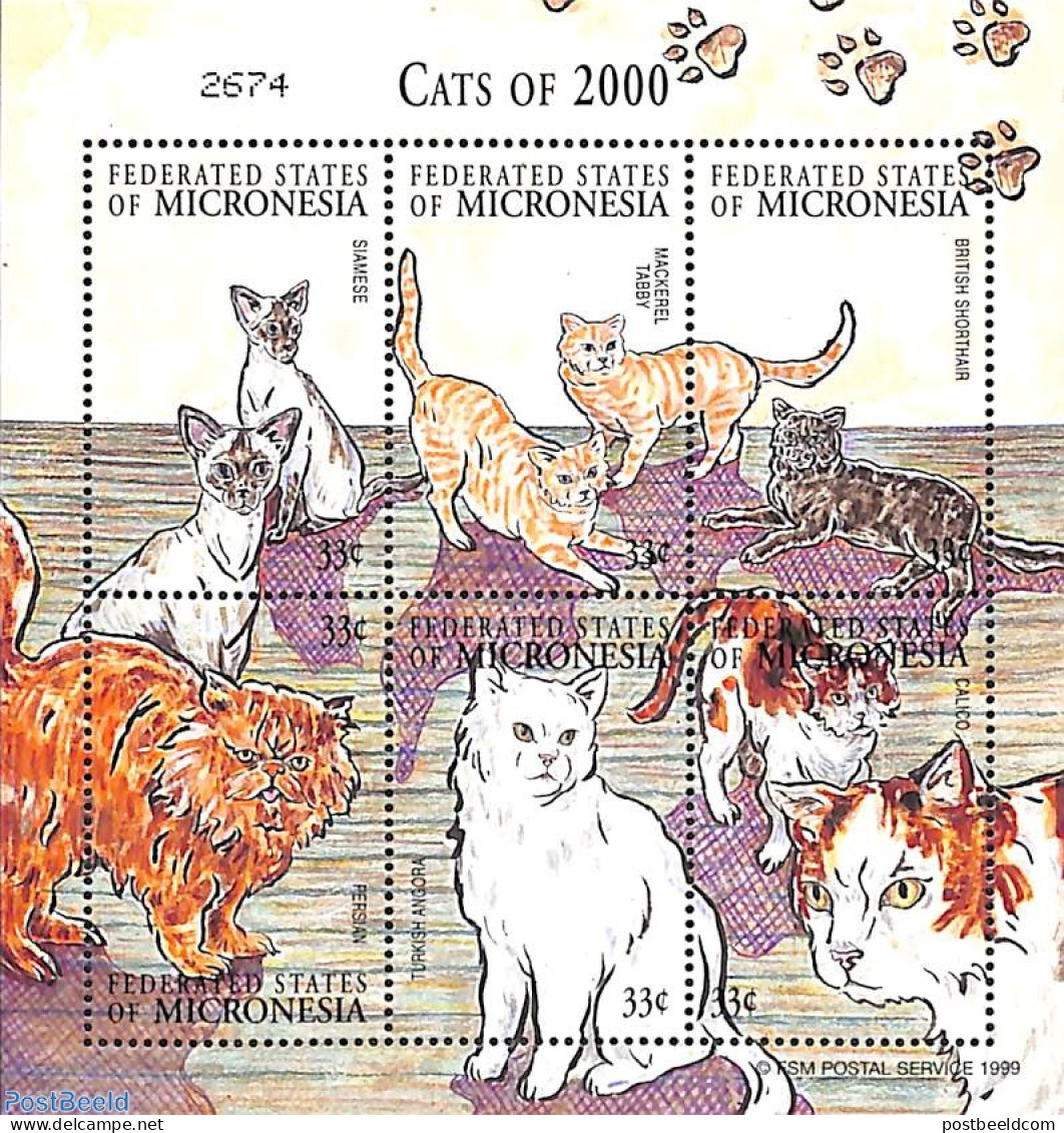 Micronesia 2000 Cats 6v M/s, Mint NH, Nature - Cats - Micronesia