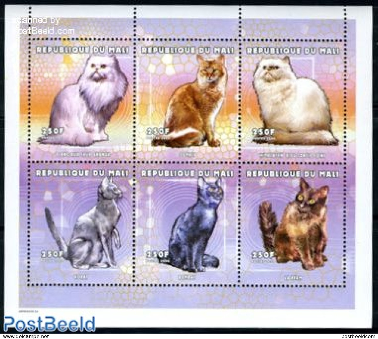 Mali 2000 Cats 6v M/s, Mint NH, Nature - Cats - Mali (1959-...)