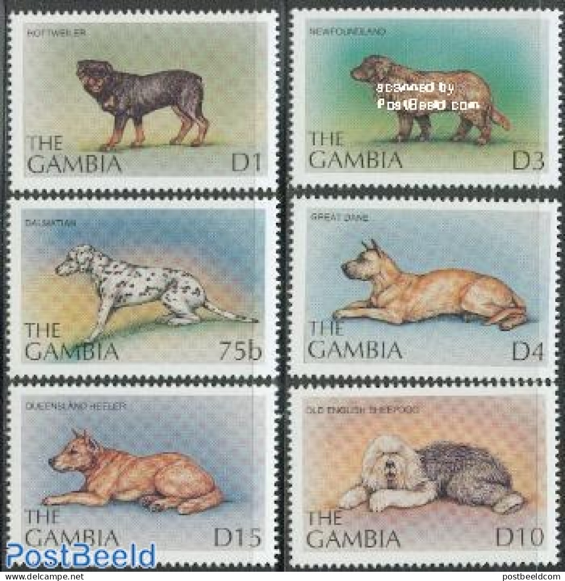 Gambia 1997 Dogs 6v, Mint NH, Nature - Dogs - Gambia (...-1964)