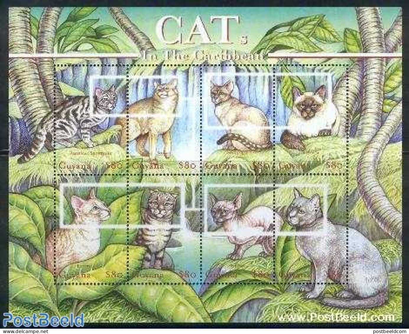 Guyana 2001 Cats 8v M/s, Mint NH, Nature - Cats - Guyana (1966-...)