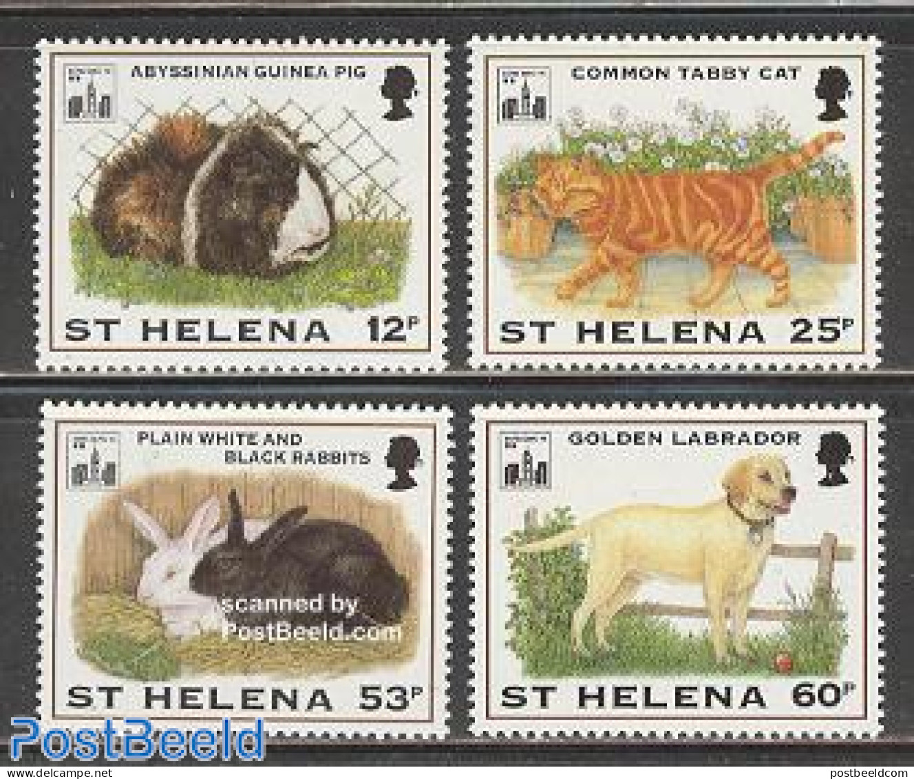 Saint Helena 1994 Domestic Animals 4v, Mint NH, Nature - Animals (others & Mixed) - Cats - Dogs - Rabbits / Hares - Saint Helena Island