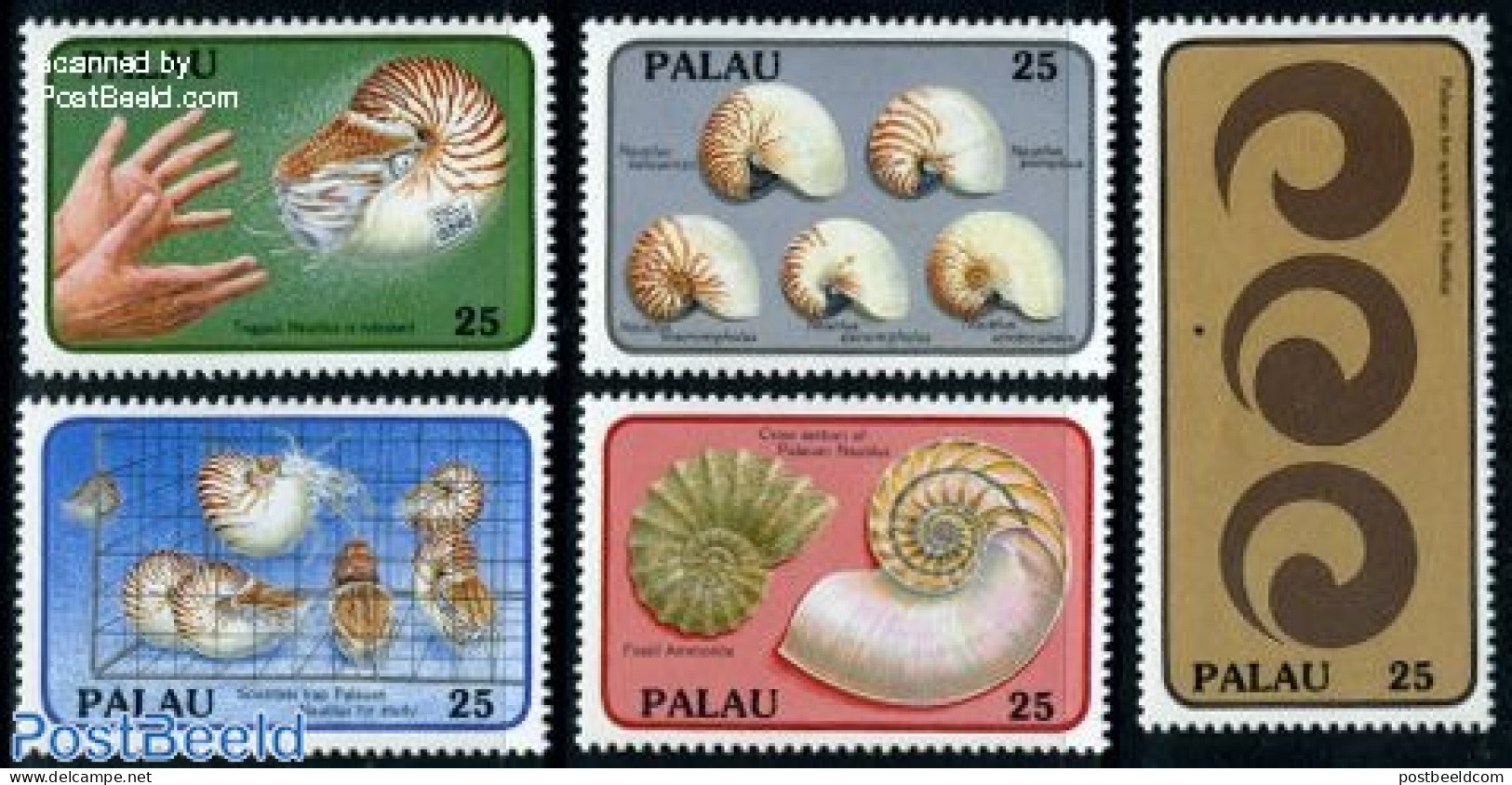 Palau 1988 Shells 5v, Mint NH, Nature - Shells & Crustaceans - Mundo Aquatico