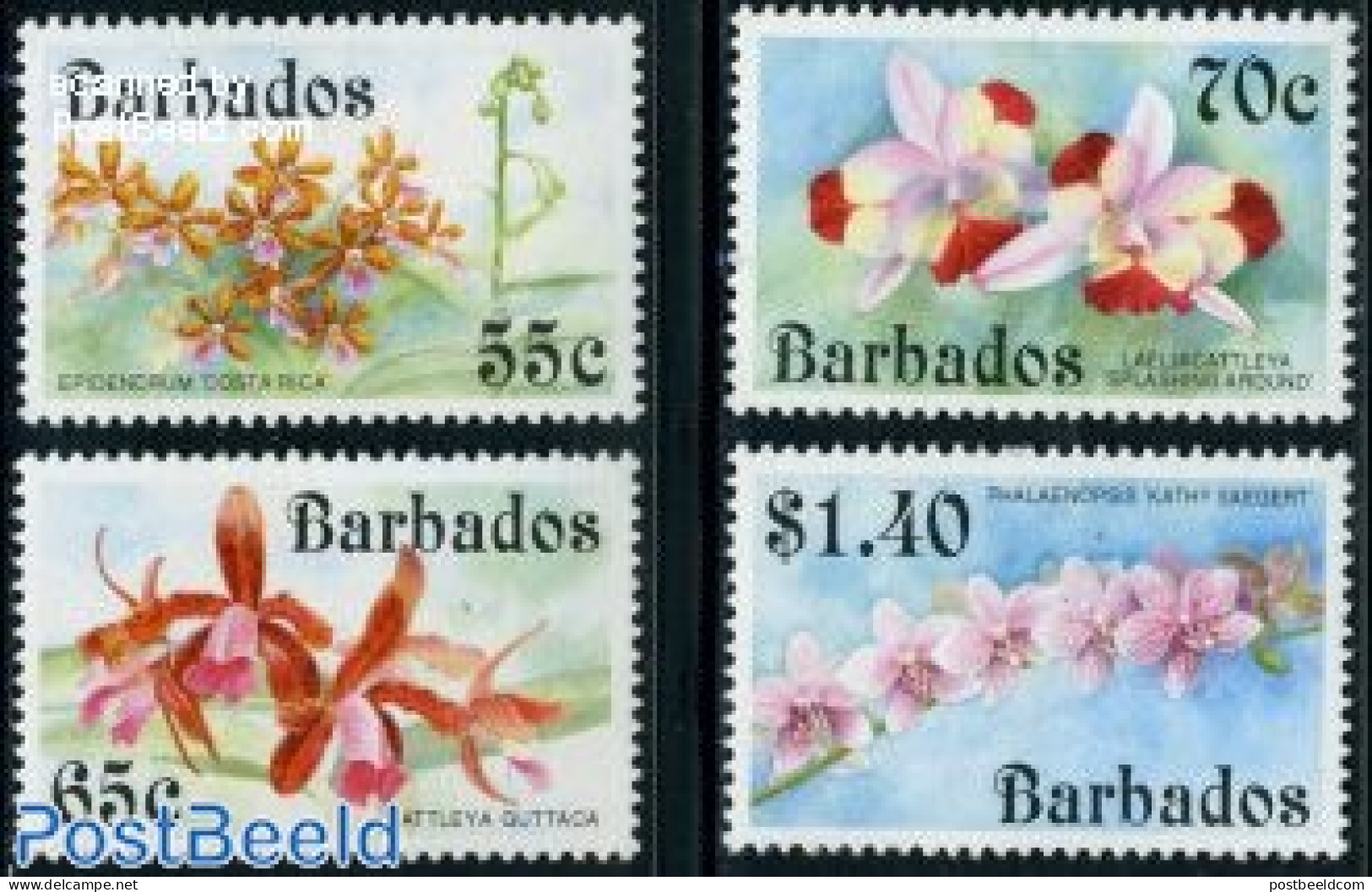 Barbados 1992 Orchids 4v, Mint NH, Nature - Flowers & Plants - Orchids - Barbados (1966-...)