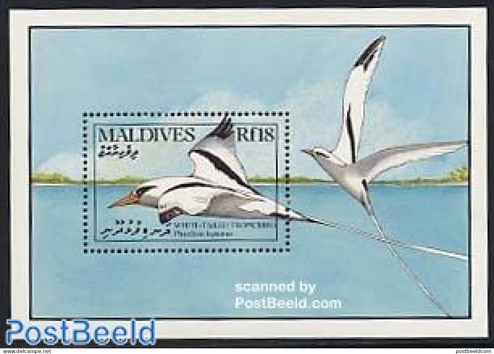 Maldives 1990 Sea Bird S/s, Phaethon Lepturus, Mint NH, Nature - Birds - Maldiven (1965-...)