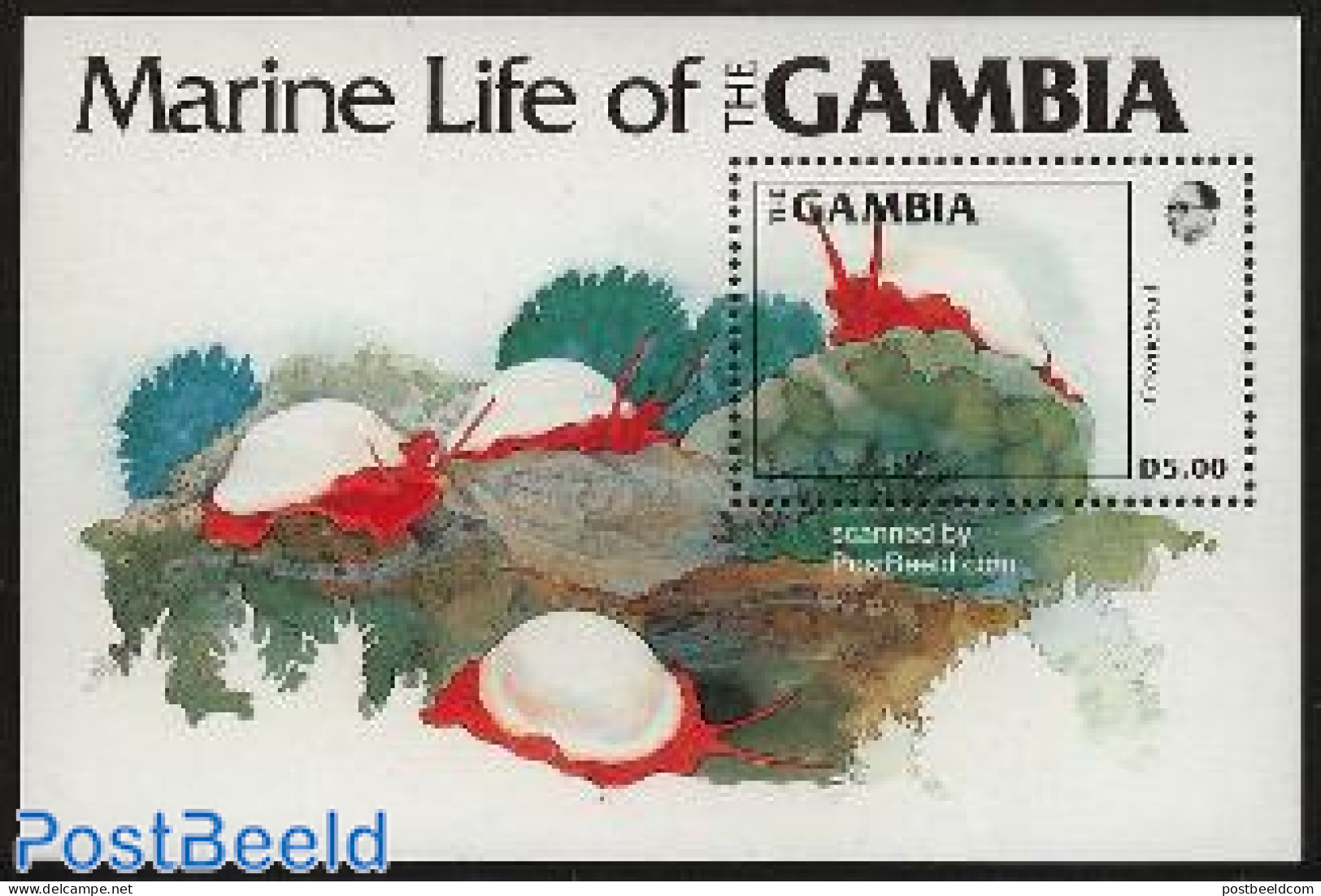 Gambia 1984 Cowrie Snail S/s, Mint NH, Nature - Animals (others & Mixed) - Shells & Crustaceans - Maritiem Leven