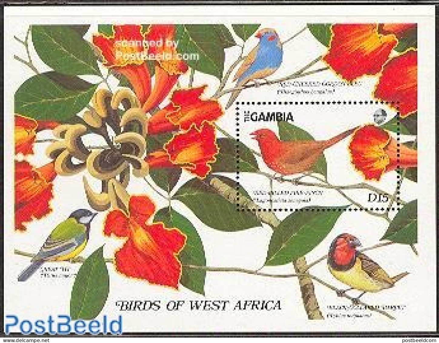 Gambia 1989 Red Billed Fire Finch S/s, Mint NH, Nature - Birds - Gambie (...-1964)