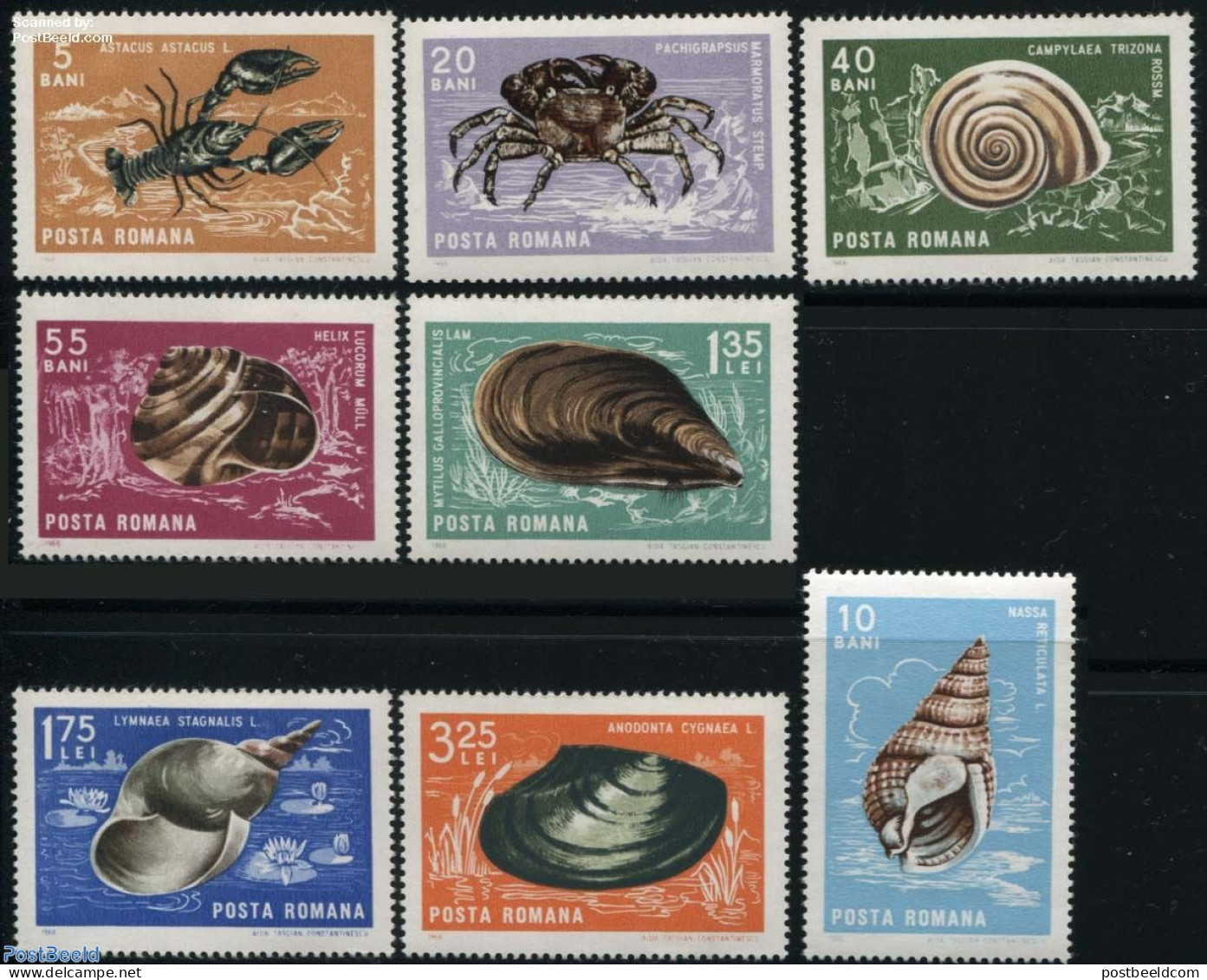 Romania 1966 Shells 8v, Mint NH, Nature - Shells & Crustaceans - Crabs And Lobsters - Ongebruikt