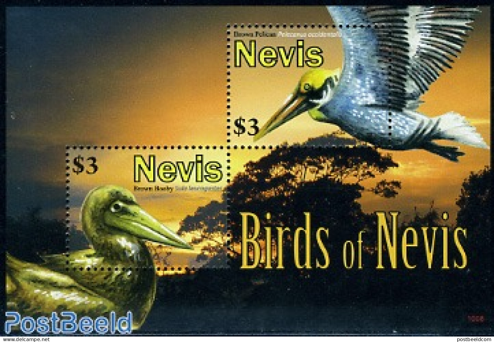 Nevis 2010 Birds Of Nevis S/s, Mint NH, Nature - Birds - St.Kitts Und Nevis ( 1983-...)