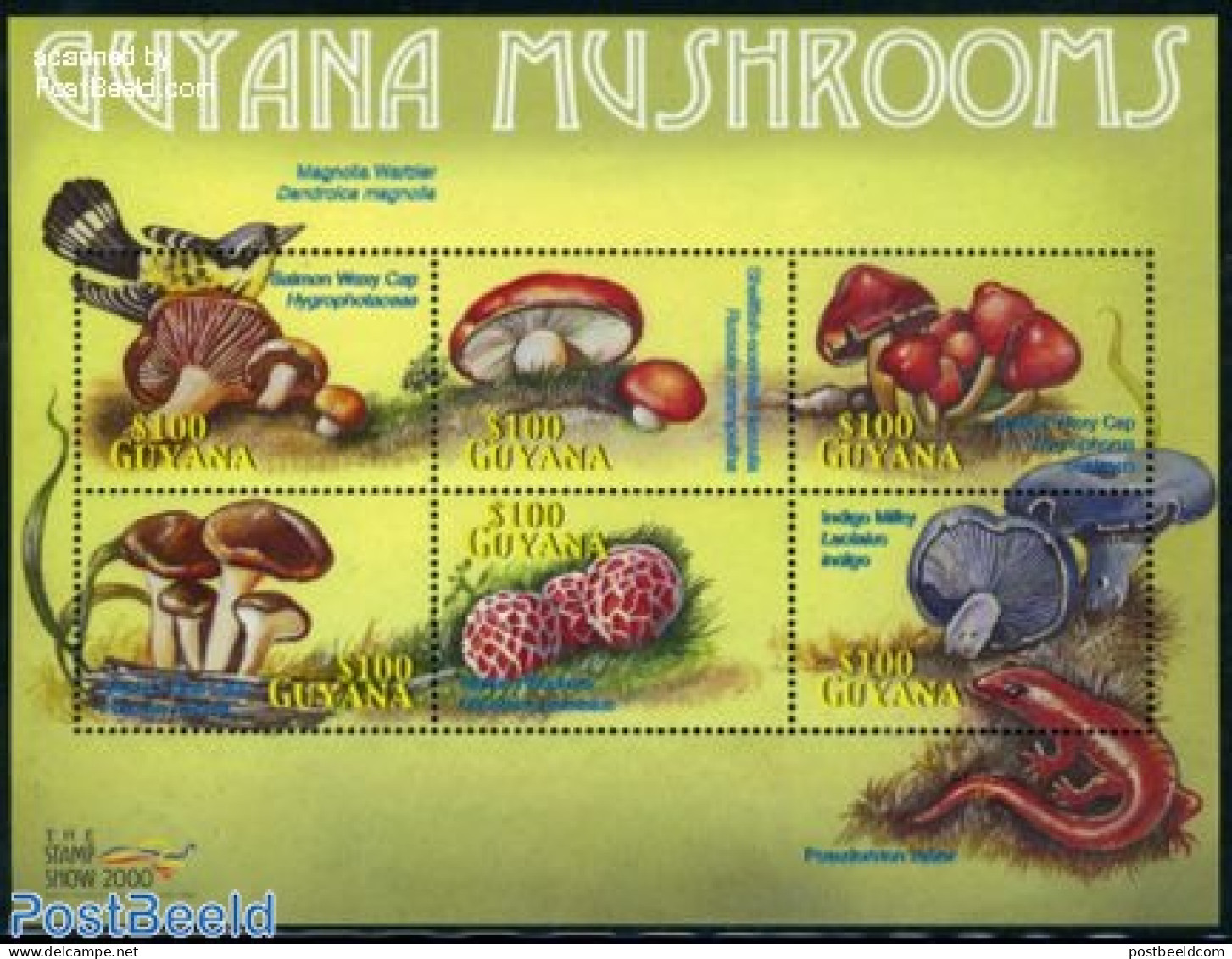 Guyana 2000 Mushrooms 6v M/s, Mint NH, Nature - Mushrooms - Funghi