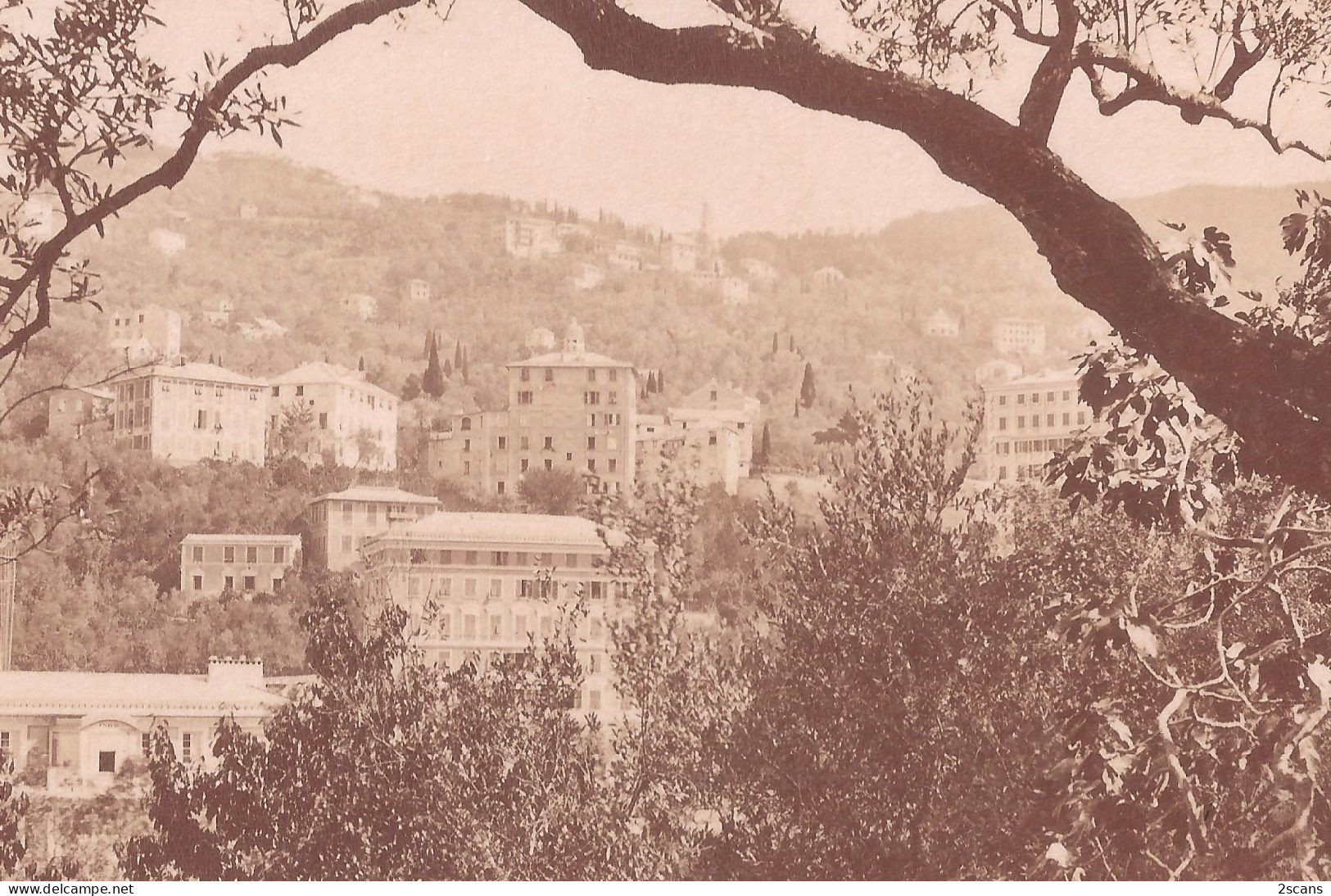 Italie - RUTA DI CAMOGLI - Photo 19è Siècle 9,2 X 14,8 Cm Collée Sur Support Cartonné 16 X 22 Cm - Autres & Non Classés