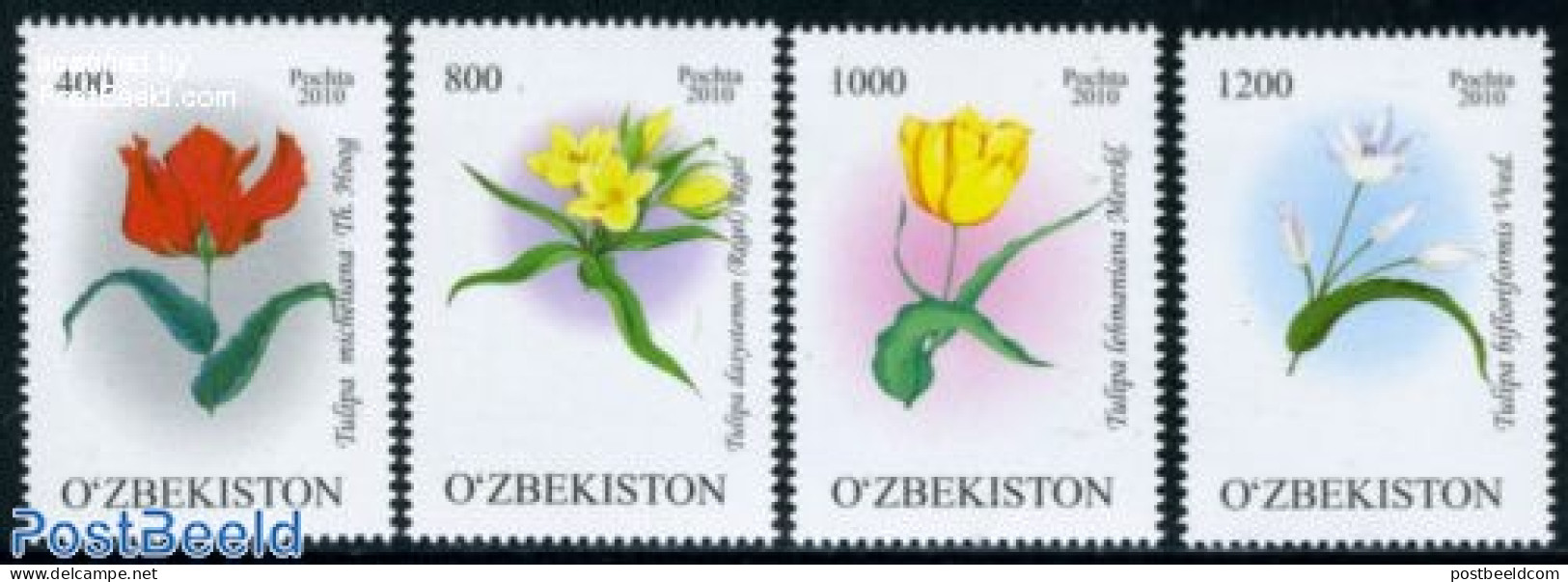 Uzbekistan 2010 Tulips 4v, Mint NH, Nature - Flowers & Plants - Uzbekistán