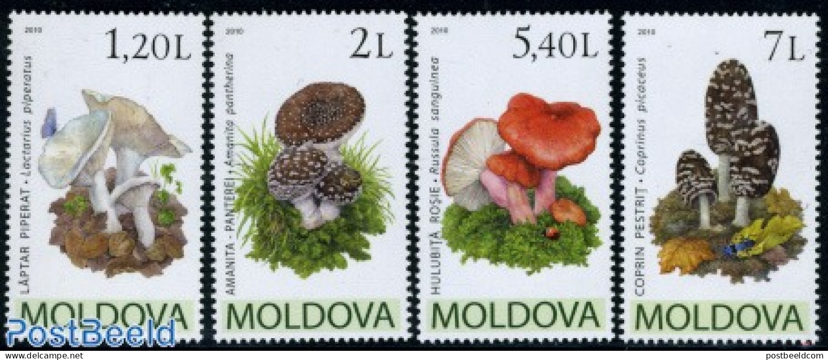 Moldova 2010 Mushrooms 4v, Mint NH, Nature - Mushrooms - Champignons