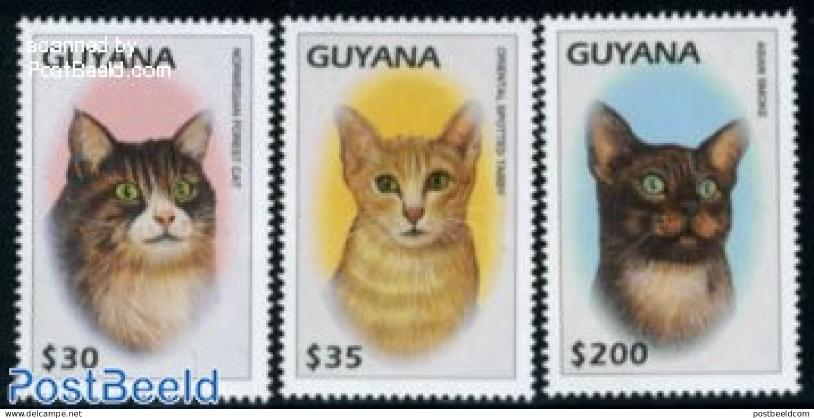 Guyana 1997 Cats 3v, Mint NH, Nature - Cats - Guyana (1966-...)