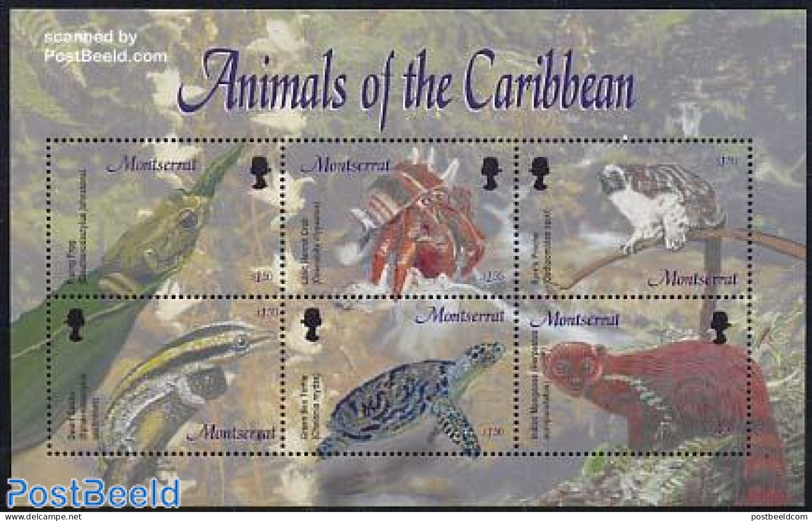 Montserrat 2003 Animals 6v M/s, Mint NH, Nature - Animals (others & Mixed) - Frogs & Toads - Reptiles - Shells & Crust.. - Maritiem Leven