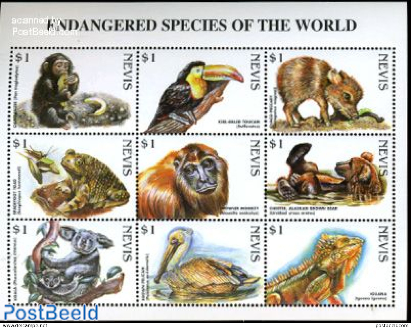 Nevis 1998 Rare Animals 9v M/s, Mint NH, Nature - Animals (others & Mixed) - Bears - Birds - Frogs & Toads - Monkeys -.. - St.Kitts-et-Nevis ( 1983-...)